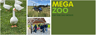 EBF Megazoo | 